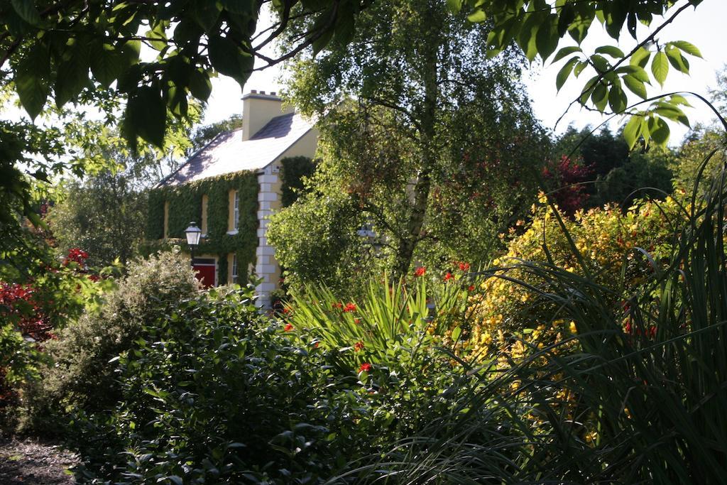 Friars Quarter House Bed and Breakfast Ballinrobe Eksteriør billede