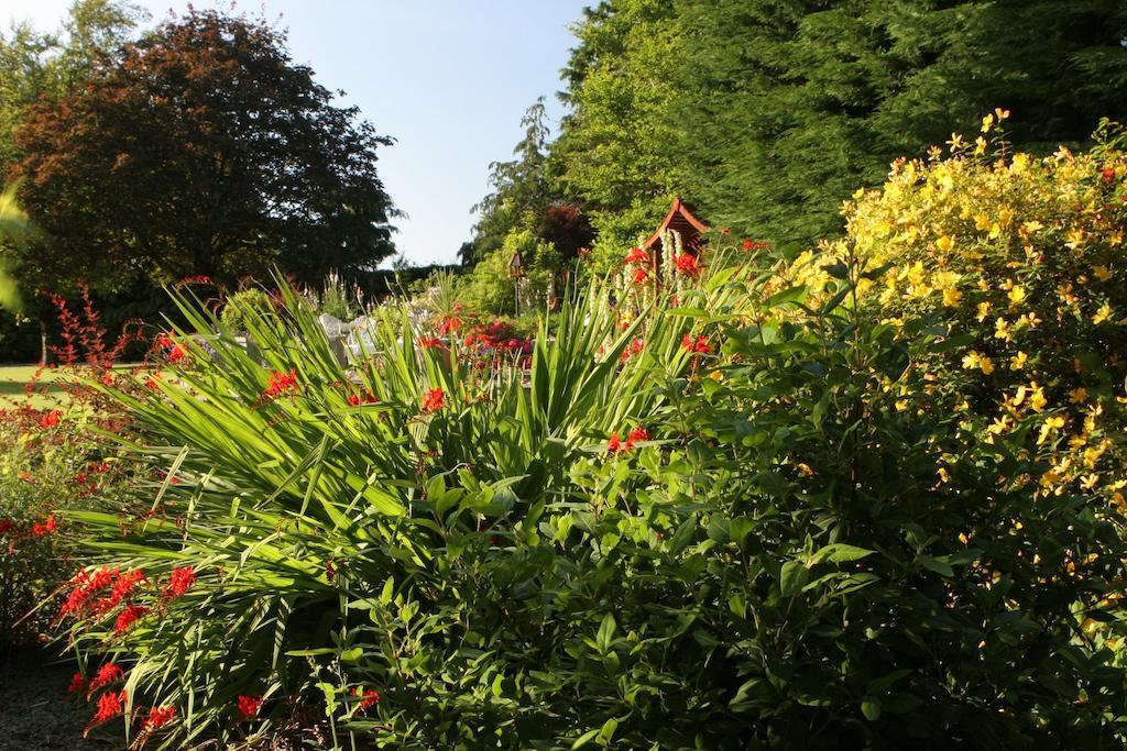 Friars Quarter House Bed and Breakfast Ballinrobe Eksteriør billede