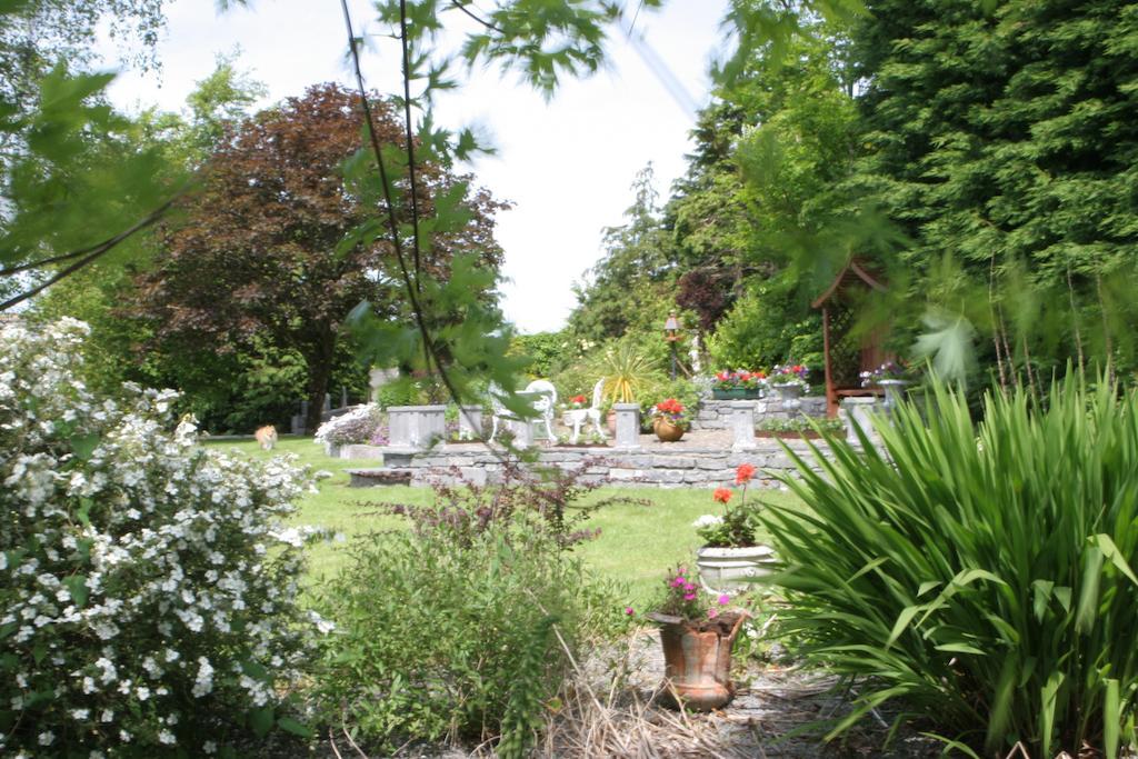 Friars Quarter House Bed and Breakfast Ballinrobe Eksteriør billede